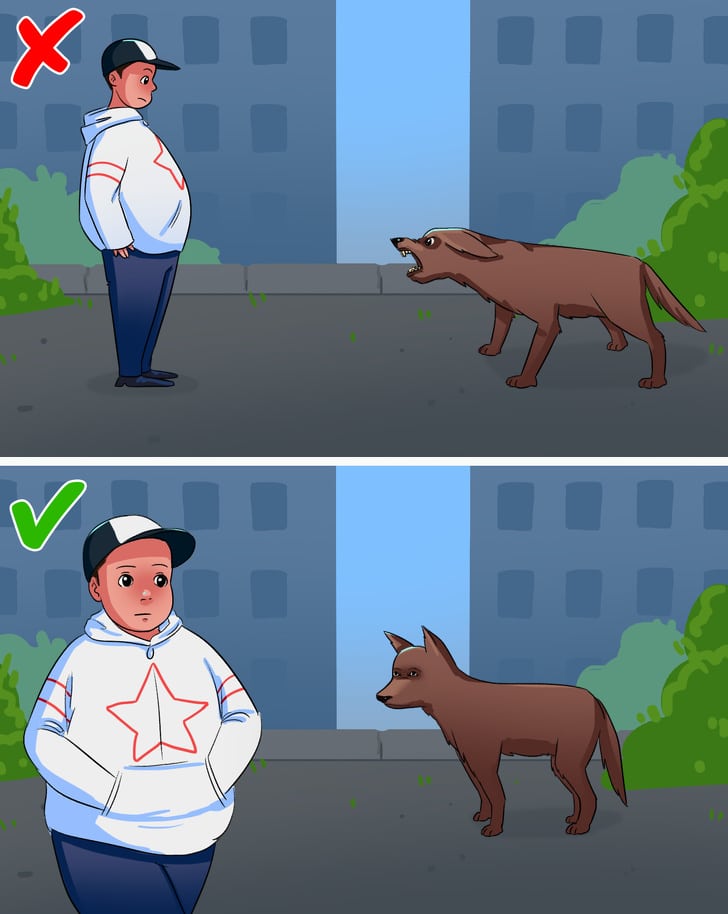 10 Best ways to protect yourself from dogs attack